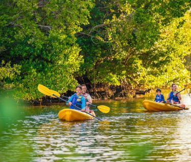 family kayaking at the bay park