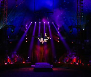 circus sarasota performance