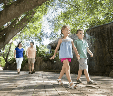 children walking to selby rainforest in sarasota