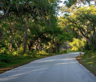 road to oscar scherer state park 
