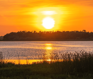 sunset over the myakka river in sarasota county