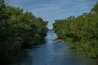 thebaykayaking