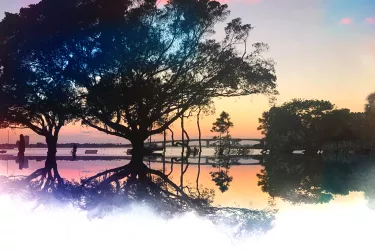BayfrontWC.jpg