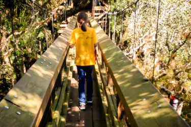 Canopy-walkway_OPT_0.jpg