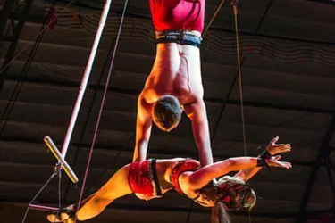 Circus Sarasota