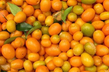 CitrusSeason_Jan2017_2_OPT.jpg