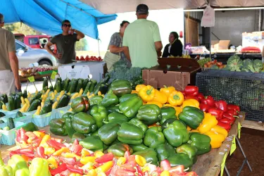 Let's Eat Englewood 2018. Photos by Nicole Coudal