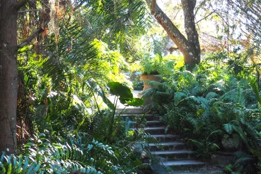 Jungle-Walk_SlideshowOpt.jpg