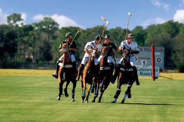 LakewoodRanch_Polo__2017Opt.jpg