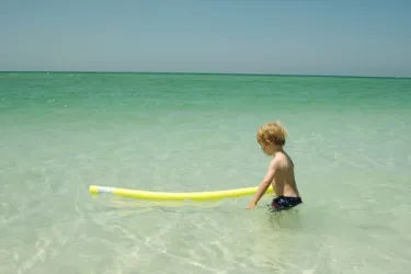 Lido-Nature-17_OPT_0.jpg