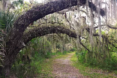 Myakka State Park030612_001_0.jpg