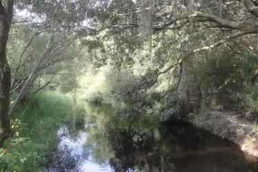 Myakkahatchee-Creek-EP-3__2017Opt.jpg