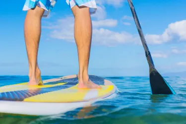 Paddleboarding-in-Sarasota-County_MilesArticleOpt_0.jpg