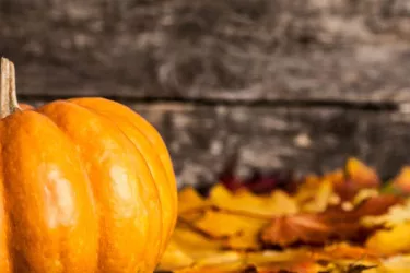 PumpkinFest__2017Opt.jpg