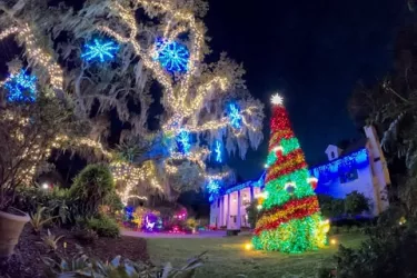 Selby_Gardens_Lights_in_Bloom_SW78DYVdZFsL7RXjktH1axr18q0ABlZBh_rgb_l.jpg