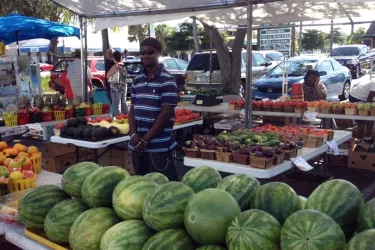 Siesta-Key-FarmersMarket__2017Opt.jpg