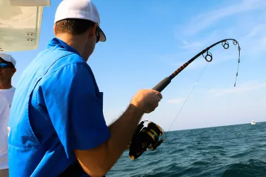 SUP - Alligator Creek. Photo credit: Liz Sandburg