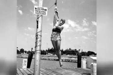 Tarpon queen Barbara Glidden poses for a photograph while hanging from a weighing device - Sarasota, Florida 1962.jpg