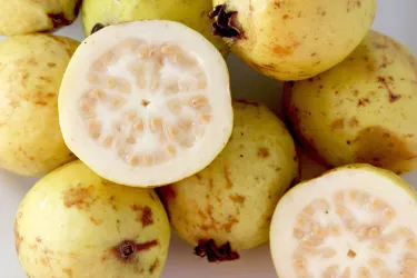 TropicalFruits__081417_2__2017Opt.jpeg