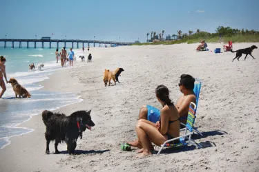 Venice___Brohard_Beach_Dog_Beach_STAIT7cQ_tzmnnpk2gMX61n_cmyk_l_0.jpg