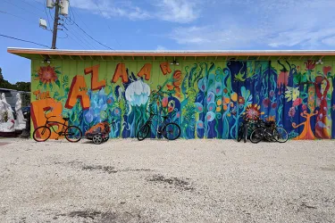 Bavaro's Pizza Napoletana