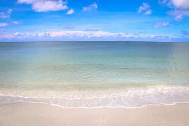 blind pass park-manasota key-beach-2020-2_rgb_hd (1).jpg