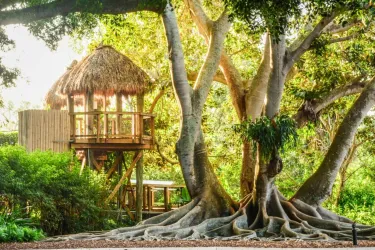 Children's Rainforest Garden at the Downtown Selby Gardens Campus