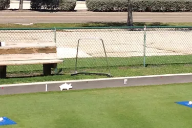 lawn-bowling-with-bay_MilesOpt_0.jpg