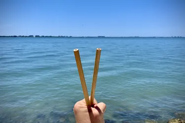reusable straws_sarasota bay_2021_cellini.jpg