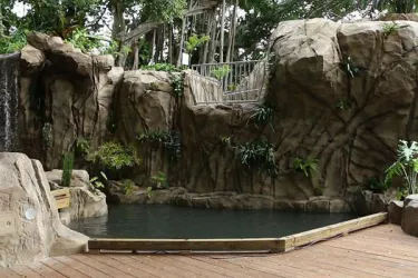 selby-gardens-unveils-childrens-rainforest-garden-1.jpg