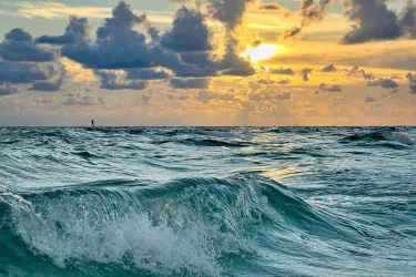 sarasota gulf of mexico