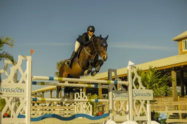 fox lea farm horse jumping