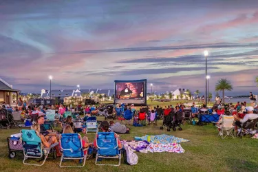Movie in the Park