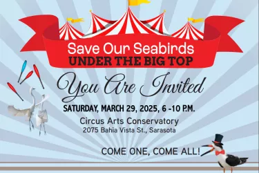 Save Our Seabirds Under the Big Top 2025