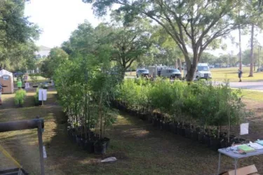 28th Annual People for Trees' Tree Fair