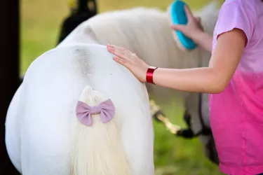 Mini Horsemanship Camp at TerraNova