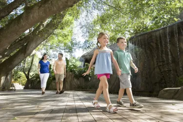 children walking to selby rainforest in sarasota