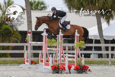 Grand Prix Horse Show Jumping 