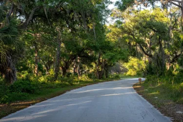 road to oscar scherer state park 