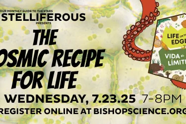 Stelliferous Presents: The Cosmic Recipe for Life