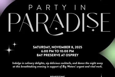 Party In Paradise