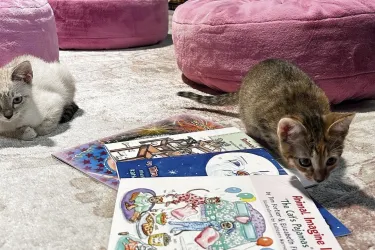 Children's Book Reading with Tim Fortier and Cats!
