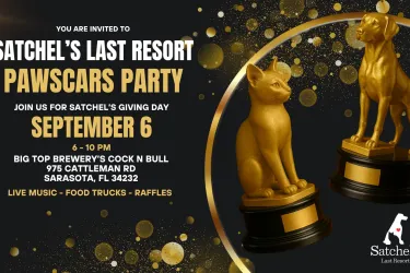Giving Back: Satchel’s Last Resort Hosts Oscars-Inspired Fundraiser at Big Top Live 2025