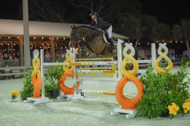 Horse jumping big jump in front of big crowd