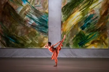 woman dancer of the sarasota ballet