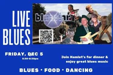 Bluestar Band Live Music in Sarasota 