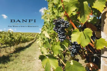 Banfi Wine Dinner