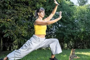 Cat Qi Gong