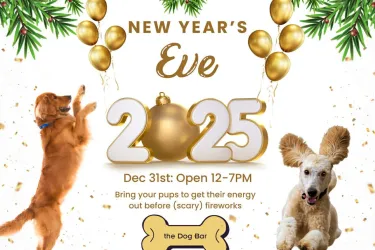 NYE flyer with dogs and balloons