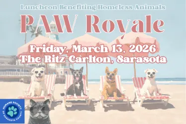 PAW ROYALE | MARCH 13